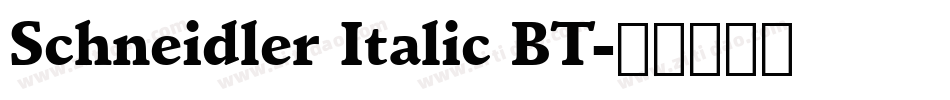 Schneidler Italic BT字体转换